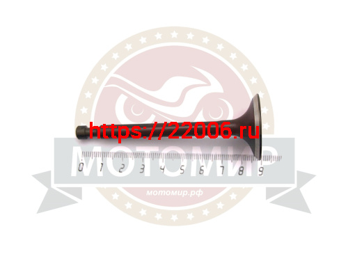 Клапан впускной 173F