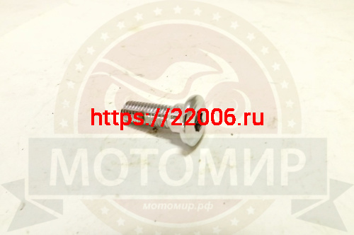 Болт М8*25мм под дисковый тормоз специальный