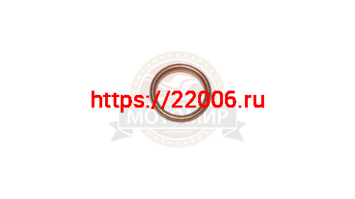 Прокладка глушителя (кольцо) (колено/головка) трицикл Прокладка глушителя (кольцо) (колено/головка) трицикл