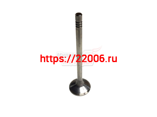 Клапан выпускной AMULET (480EF-1007012)